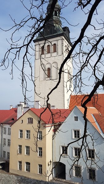 Tallinn (25).jpg